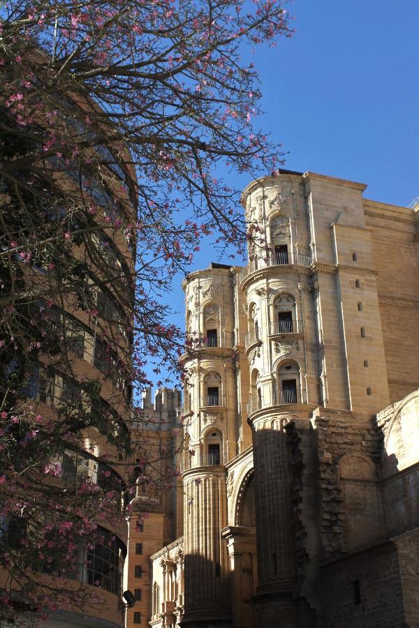 Casa La Victoria Apartment Malaga Bagian luar foto